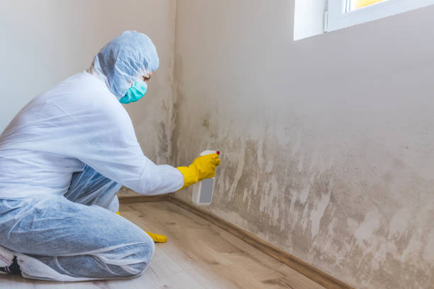 Licensed Commercial Mold Remediation service in Berwyn, PA - WQB Mold Removal
