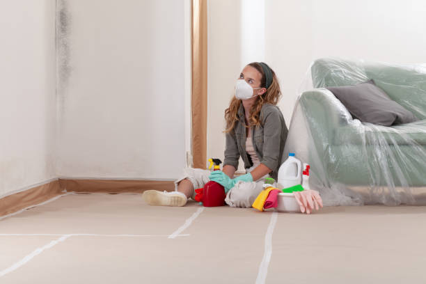 Reliable Commercial Mold Remediation contractor in Berwyn, PA by WQB Mold Removal
